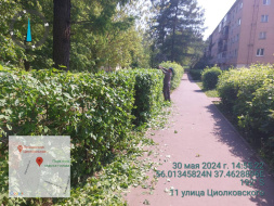 Чистый город: в Лобне подвели итоги дня по благоустройству