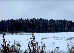 Зимой на природе в Лобне очень здорово