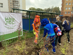 Лобненцы высадили 280 саженцев Лобненцы высадили 280 саженцев