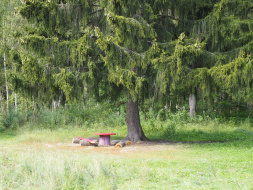 "Сядь на пенек, съешь пирожок"