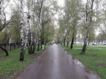 На следующей неделе в столичном регионе ожидаются мокрый снег и похолодание