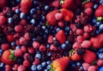 Теперь жители Лобни смогут насладиться ягодами весь год