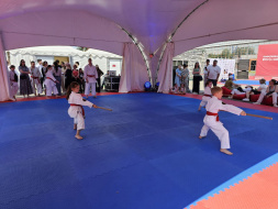 Лобненские каратисты показали мастерство на спортивной арене ВДНХ