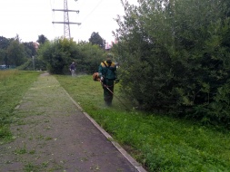 В городе продолжаются работы по окосу травы