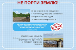 Муниципальный земельный контроль проверяет земельные участки, расположенные в границах городского округа Лобня