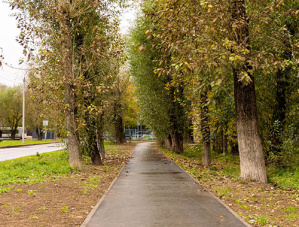 Продолжаем активно работать над улучшением пешеходных зон в нашем городе. 
