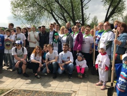 В сквере на ул. Туголукова появилась целая аллея кленов и рябин