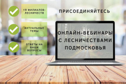 Лобненцев приглашают на онлайн-вебинары с лесничествами Московской области
