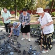 Получатели соцуслуг Лобненского КЦСОН в парке культуры и отдыха кормили птиц