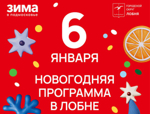 Тренировка по самбо и научная Новогодняя елка: в Лобне продолжаются развлекательные мероприятия Тренировка по самбо и научная Новогодняя елка: в Лобне продолжаются развлекательные мероприятия