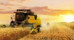 Лобненцы могут увидеть продукцию российских аграриев на выставке «Золотая осень» в Москве