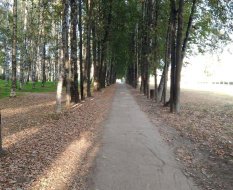 До конца года в Лобне отремонтируют 2,5 км тротуаров До конца года в Лобне отремонтируют 2,5 км тротуаров