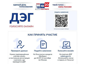 Избирателей Лобни приглашают к участию в тестовом голосовании в интернете