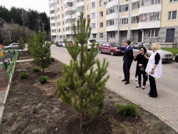 В весенний период в городском округе Лобня запланирована высадка порядка 1000 кустов и 60 деревьев