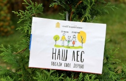 21 сентября на территории городского округа Лобня пройдёт массовая акция «Наш лес. Посади своё дерево»
