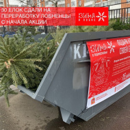 Порядка 30 елок сдали лобненцы с начала акции «Подари елке вторую жизнь»