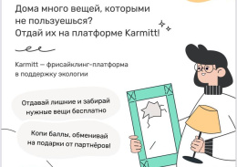 Лобненцам рассказали о приложении «Karmitt»