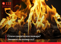 Жителям Лобни напомнили правила пожарной безопасности в лесу