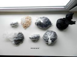 В Лобне полицейские изъяли более 800 граммов героина из незаконного оборота наркотиков