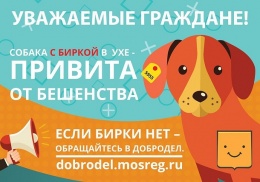 Куда жаловаться на бродячих собак в Лобне