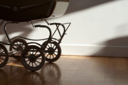 Полицейскими г.о. Лобня раскрыта кража детской коляски