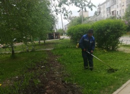 В Лобне начались работы по покосу травы 