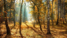 Жителей Лобни приглашают принять участие в фотоконкурсе Жителей Лобни приглашают принять участие в фотоконкурсе