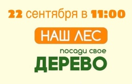 Уже в эту субботу более чем на 50 площадках в Лобне высадят саженцы деревьев в рамках акции «Наш лес. Посади свое дерево»