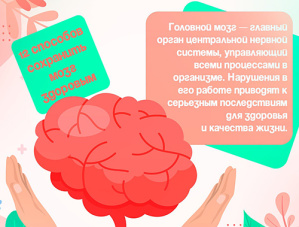 Головной мозг - главный орган центральной нервной системы, управляющий всеми процессами в организме.