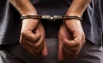 Полицейские в Лобне задержали подозреваемых в совершении серии краж и грабежей 