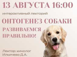 Лобненцам расскажут, как заниматься развитием питомца Лобненцам расскажут, как заниматься развитием питомца