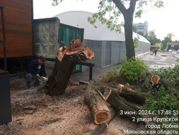В Лобне устраняют последствия сильного ветра