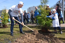1150 деревьев высадят в Лобне в рамках акции «Лес Победы» 12 мая