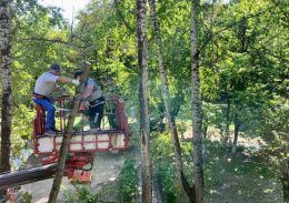 В микрорайоне Букино опилили деревья