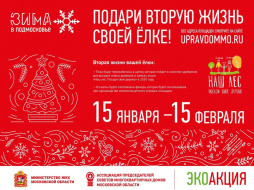 Ежегодная экологическая акция «Подари своей елке вторую жизнь» стартует в Лобне
