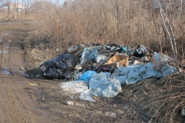 В Лобне ликвидировали 95% выявленных за 2,5 месяца свалок 