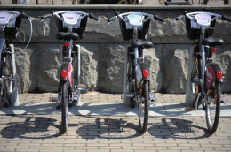 Голосование за развитие велодорожной сети Подмосковья проходит на портале «Добродел»