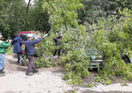 В Лобне навели порядок после сильного ливня В Лобне навели порядок после сильного ливня