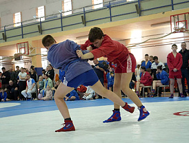 В Лобне прошел турнир по спортивному самбо
