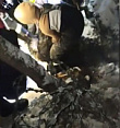 В Лобне спасатели вытащили из под завалов двух собак