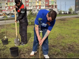 Акция «Сирень Победы», ставшая частью большой патриотической акции «Сады Победы», прошла в Лобне 9 мая