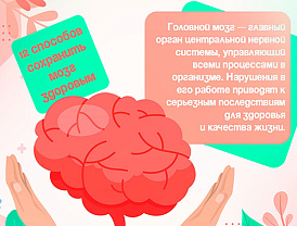 Головной мозг - главный орган центральной нервной системы, управляющий всеми процессами в организме.