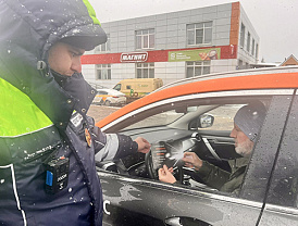 Сотрудники подмосковной Госавтоинспекции провели профилактическое мероприятие