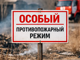 Особый противопожарный режим в Московской области: меры предосторожности и ответственность