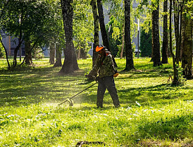 Городские службы трудятся в ежедневном режиме