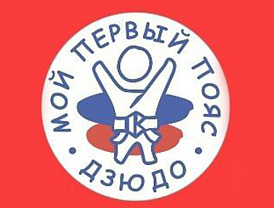 В Лобне стартовал федеральный проект «Мой первый пояс»