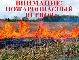 Жителей Лобни предупредили о начале пожароопасного периода
