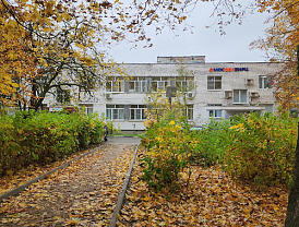 В Лобне обновляют пешеходные дорожки на улице Чкалова