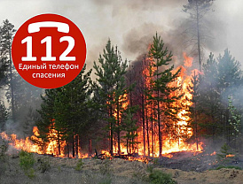 Служба 112 предупреждает: пал травы опасен!