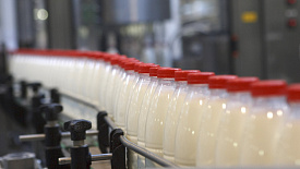  В Подмосковье построят завод по производству сыра из козьего молока